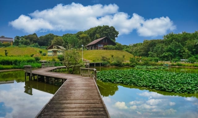 取手市農業ふれあい公園